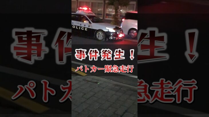 緊迫！パトカー緊急走行で到着！（足利市）