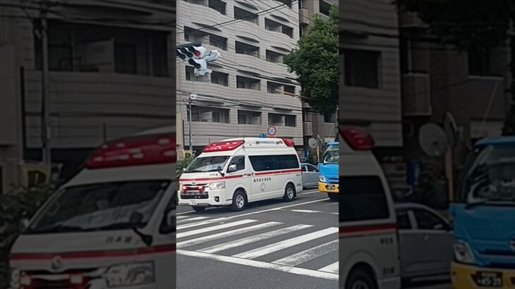 【緊急走行】救急車交差点進入!鹿児島市消防局西本署救急隊