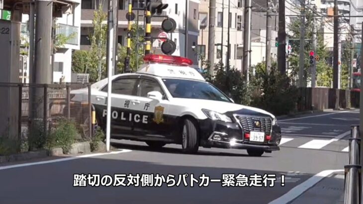 【大して気を付けてもいないのにガッカリする演技はアカデミー賞物の違反者】右折禁止を現認したパトカーが踏切の反対側から緊急走行で現れ検挙した取締りの瞬間！