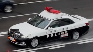 パトカー　緊急走行