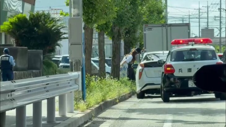 😳😳プリウスとトラックの追突事故😳😳🚨パトカー🚨兵庫県警🚨警察官🚨 #追突事故 #交通事故 #プリウス #パトカー #兵庫県警