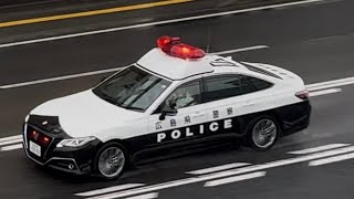 パトカー　緊急走行