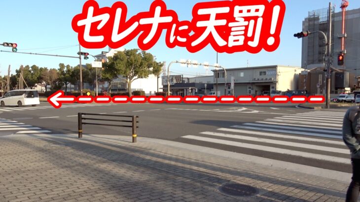 パトカーも標識も目に入らず！近道横着したセレナが捕まる！【パトカーによる転回禁止取り締まり】