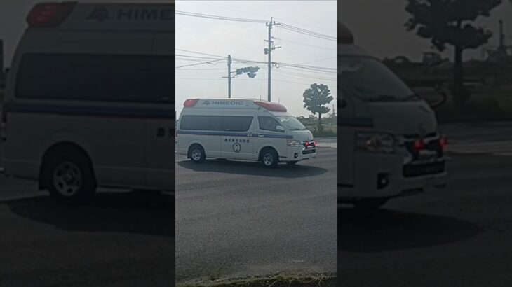 【緊急走行】ドクターカー支援!鹿児島市消防局甲南非常用救急（高度救急隊ドクターカー代車運用中）