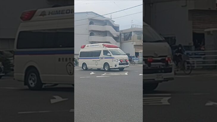 【緊急走行】ドクターカー支援!鹿児島市消防局甲南非常用救急（高度救急隊ドクターカー代車運用中）