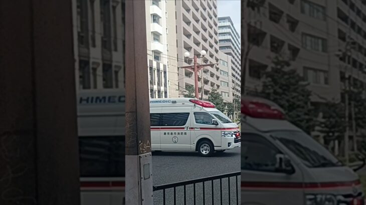 【緊急走行】アクティビーコンノーマルモード！鹿児島市消防局甲南救急隊
