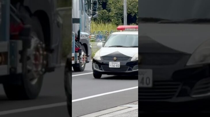千葉県警察　流山警察署　スズキスイフトパトカー　警戒走行