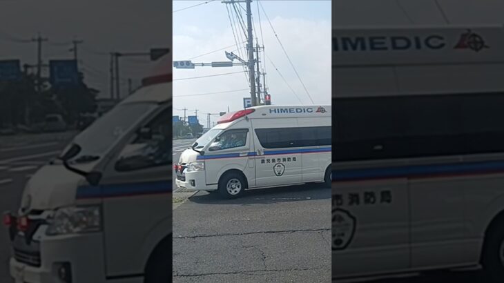 【緊急走行】医療機関へ救急搬送!鹿児島市消防局甲南非常用救急（高度救急隊ドクターカー代車運用中）
