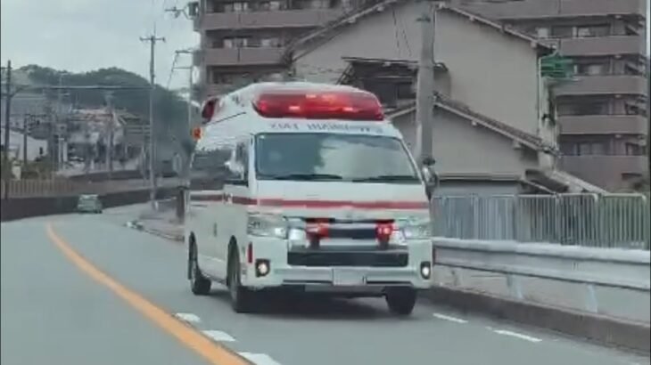 🚨救急車🚨緊急走行🚨赤色灯🚨サイレン🚨遠めあり😅😅 #救急車 #緊急走行 #サイレン #赤色灯 #走行動画