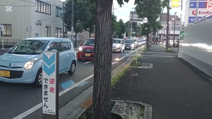 救急車血液搬送車緊急走行