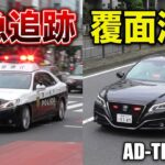 信号無視のクルマを緊急走行で追う所轄パトカー！覆面パトカーは違反車を静かに待つ？