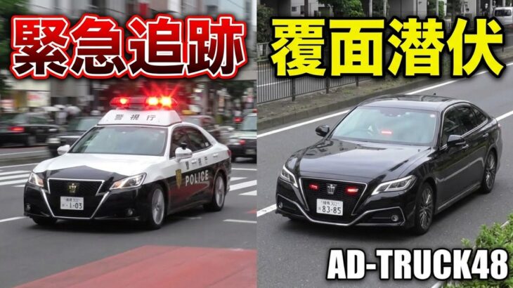 信号無視のクルマを緊急走行で追う所轄パトカー！覆面パトカーは違反車を静かに待つ？