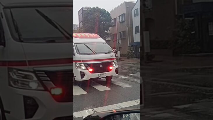 【緊急走行】土砂降りの中の救急搬送!鹿児島市消防局郡元救急隊