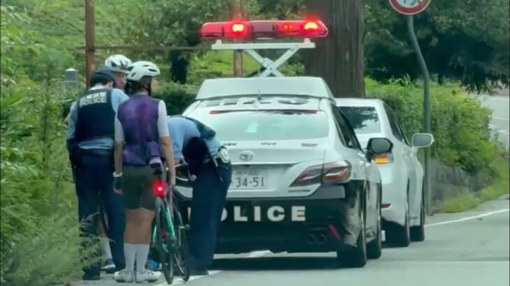 😳😳自転車と車の事故😳😳🚨パトカー🚨兵庫県警🚨 #事故 #交通事故 #事故現場 #パトカー #赤色灯 #兵庫県警