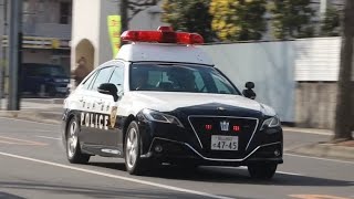 【緊急走行】パトカー.白バイ！！