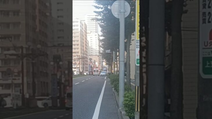 【緊急走行】アクティビーコン救急車出場!鹿児島市消防局甲南救急隊