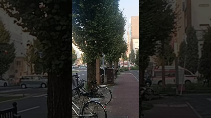 【緊急走行】ドクターカー交差点通過!米盛病院救命救急センタードクターカー