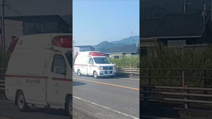 【緊急走行】貴重なエルグラパラメが救急搬送!鹿児島市消防局喜入非常用救急隊