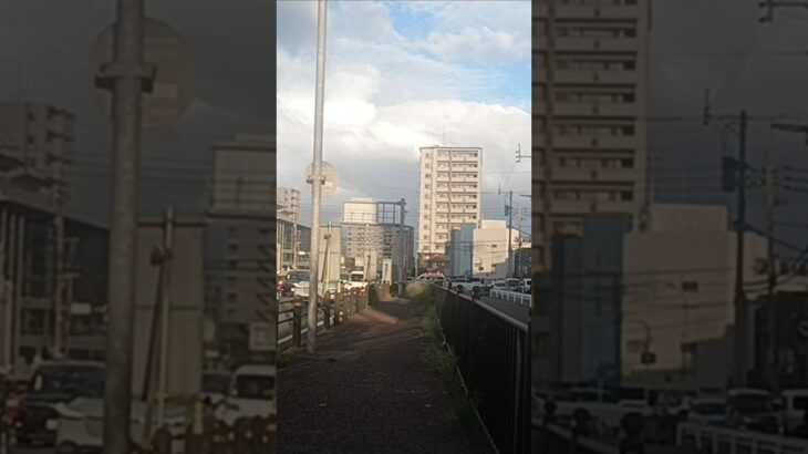 【緊急走行】ドクターカー支援!鹿児島市消防局高度救急隊ドクターカー
