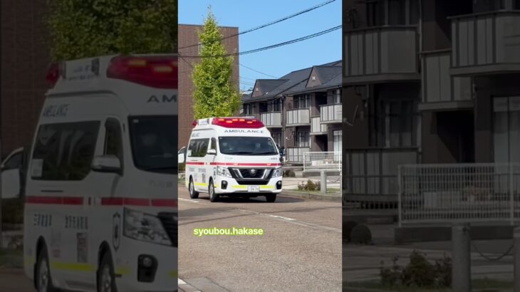 （緊急走行🚨）ハーモニックサイレンで走行する金沢市消防局　三和救急隊 #救急車 #緊急車両