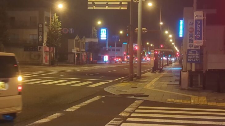 薩摩川内市消防局　中央消防署南部分署　救急２０１