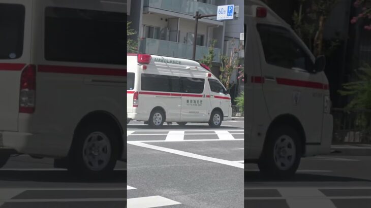 (顔バレ対策)東京消防庁救急車緊急走行！