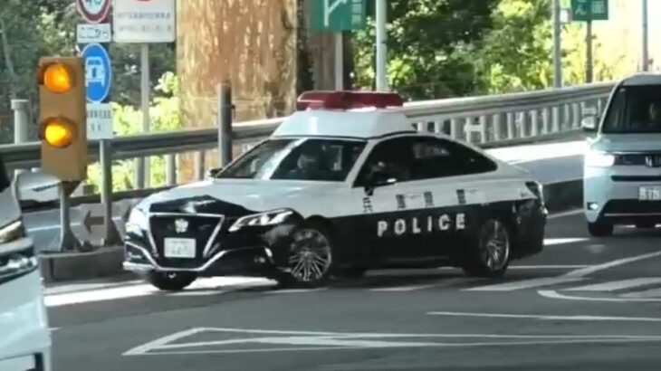 🚨信号無視を狙うパトカー🚨兵庫県警🚨クラウンパトカー🚨 #パトカー #兵庫県警 #クラウンパトカー