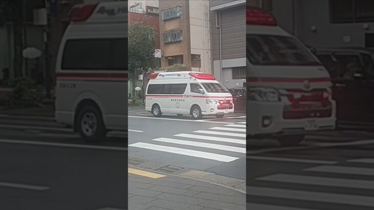 【緊急走行】医療機関へ救急搬送！鹿児島市消防局吉野非常用救急（南林寺救急代車運用中）