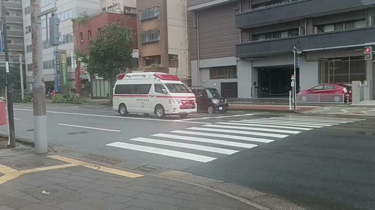 【緊急走行】急病人を医療機関へ搬送せよ！鹿児島市消防局吉野非常用救急（南林寺救急代車運用中）
