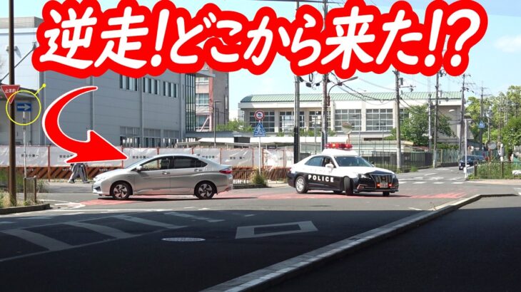 逆にここまで来れたのがすごい！パトカーに曲がれ止まれと言われているのに直進する逆走車！【パトカーによる取り締まり】