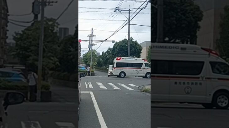 【緊急走行】市立病院へ救急搬送!鹿児島市消防局甲南救急隊