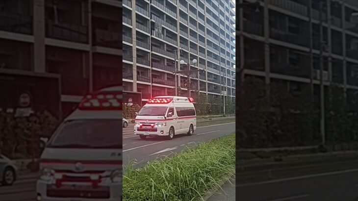【緊急走行】市立病院へ到着！鹿児島市消防局西本署救急隊