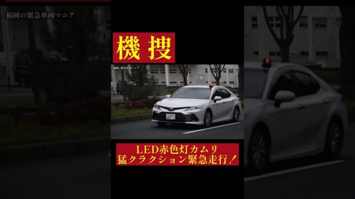 【緊急走行】北九州市警察部 機捜覆面パトカー、緊急走行！