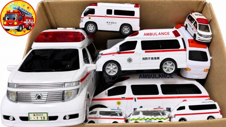 🚑救急車のミニカーだけ大量に箱に集めてみた！サイレン鳴らして緊急出動＆坂道走行テスト【子供向け】おうち遊び