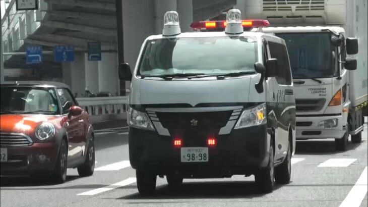 🚨警察車両🚨兵庫県警🚨赤色灯🚨走行動画🚨 #警察車両 #パトカー #兵庫県警 #赤色灯 #走行動画