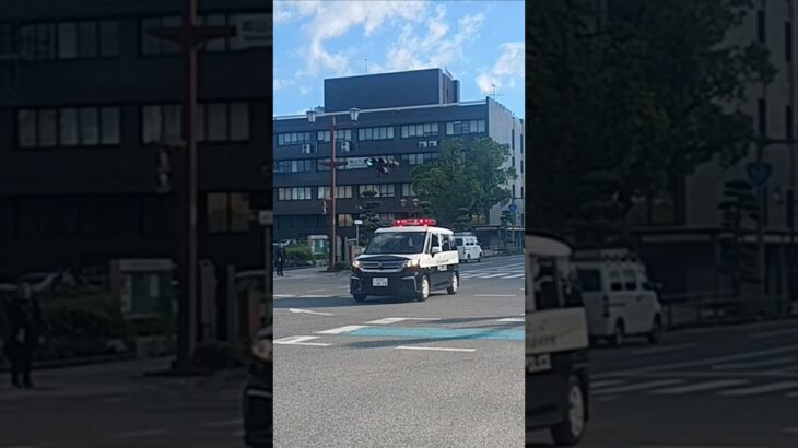 【緊急走行】初撮影!新型ソリオパトカー出場!鹿児島県警察地域課荒田ミニパト