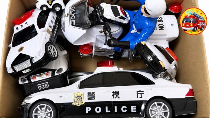 🚓パトカーのミニカーだけ大量に箱に集めてみた！サイレン鳴らして緊急出動＆坂道走行テスト【子供向け】おうち遊び