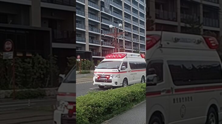 【緊急走行】市立病院へ救急搬送!鹿児島市消防局西本署救急隊