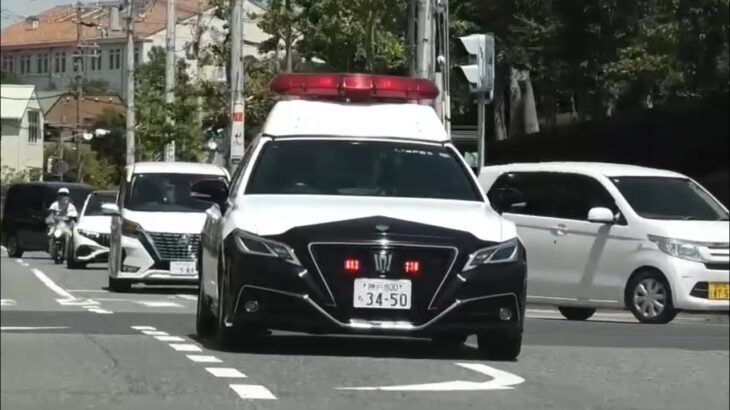 🚨パトカー🚨兵庫県警🚨赤色灯🚨クラウンパトカー🚨 #パトカー #兵庫県警 #赤色灯 #クラウンパトカー