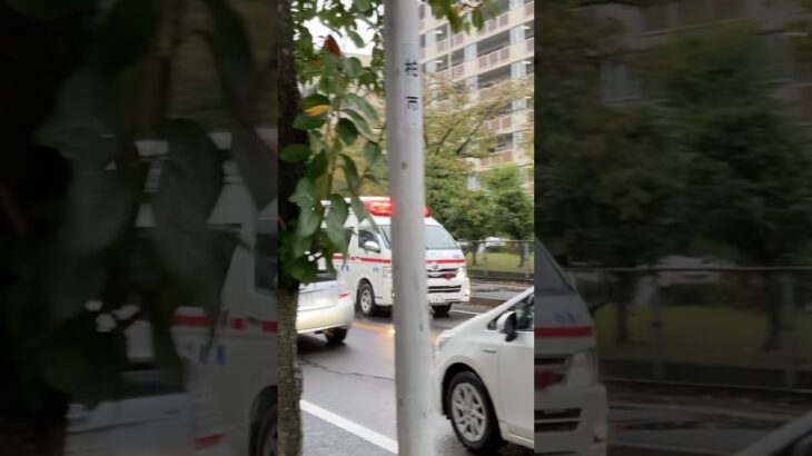 【雨の中を猛スピー】柏市消防局　柏救急1 （予備車）　緊急走行
