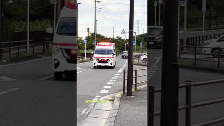 (緊急走行🚨)柏市消防局 手賀救急1 #緊急車両 #救急車 #緊急走行