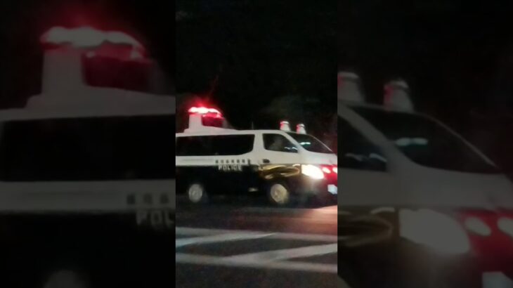 【緊急走行】交通事故発生!鹿児島県警察交通課南署事故処理1