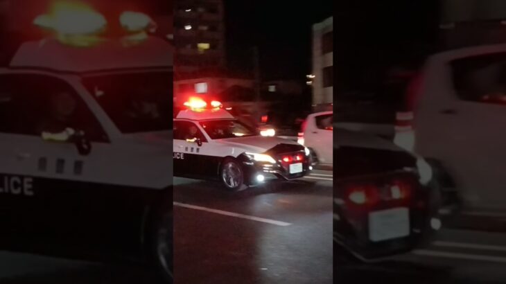 【緊急走行】事案発生!マイクパフォーマンスあり！鹿児島県警察地域課中央1