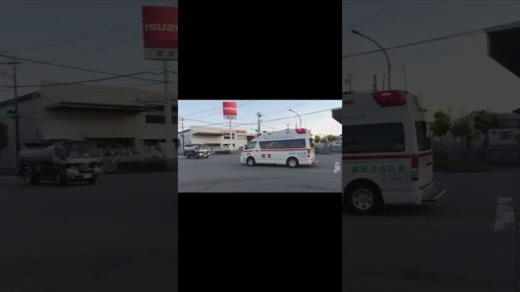 緊急走行🚨姫路市消防局飾磨消防署白浜分署高規格救急車‼️10月14日(水)撮影‼️#shorts #緊急走行 #救急車 #サイレン #トヨタ