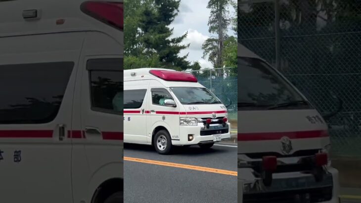 《緊急走行》小山市消防本部　小山市消防署(警防課)   小山救急13