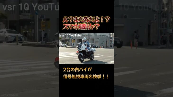 2台の白バイが緊急走行!!え?まだ赤だよ?スマホでも見てたのか周りに釣られて信号無視!!