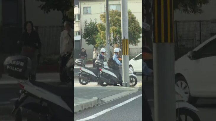 😳😳警察バイクが2台😳😳 #警察官 #兵庫県警 #警察バイク #お巡りさん #shorts #shortvideo #short #shortsfeed