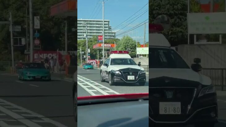 🚨パトカー🚨走行2連発🚨兵庫県警🚨 #パトカー #兵庫県警 #shorts #shortvideo #short #shortsfeed