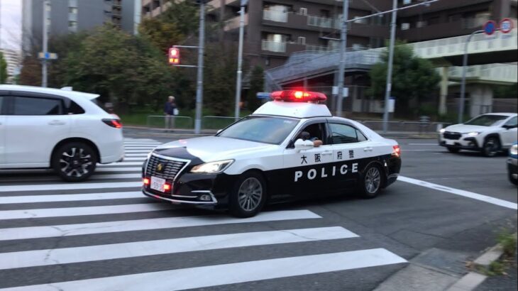 【緊急走行】スクランブル交差点を左折！大阪府警　210系パトカー