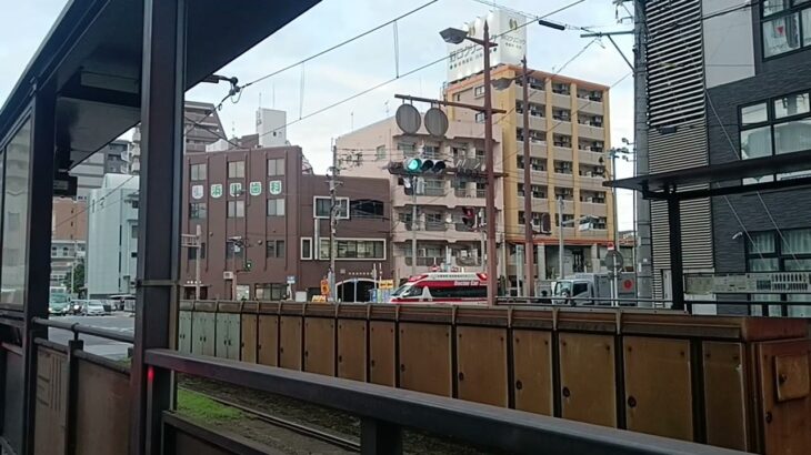 【緊急走行】2時間に2回も南九州西回り自動車道方面に出動!米盛病院救命救急センタードクターカー